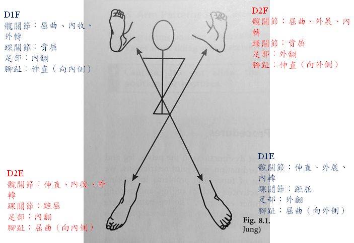 康复pnf动作模式图解